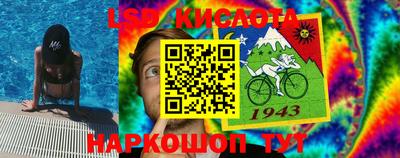 гашик Будённовск