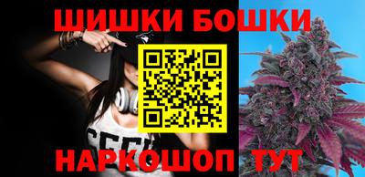 гашик Будённовск