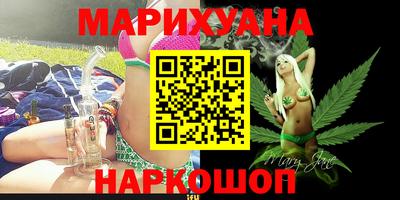 гашик Будённовск