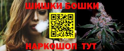 гашик Будённовск