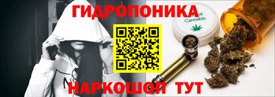 гашик Будённовск