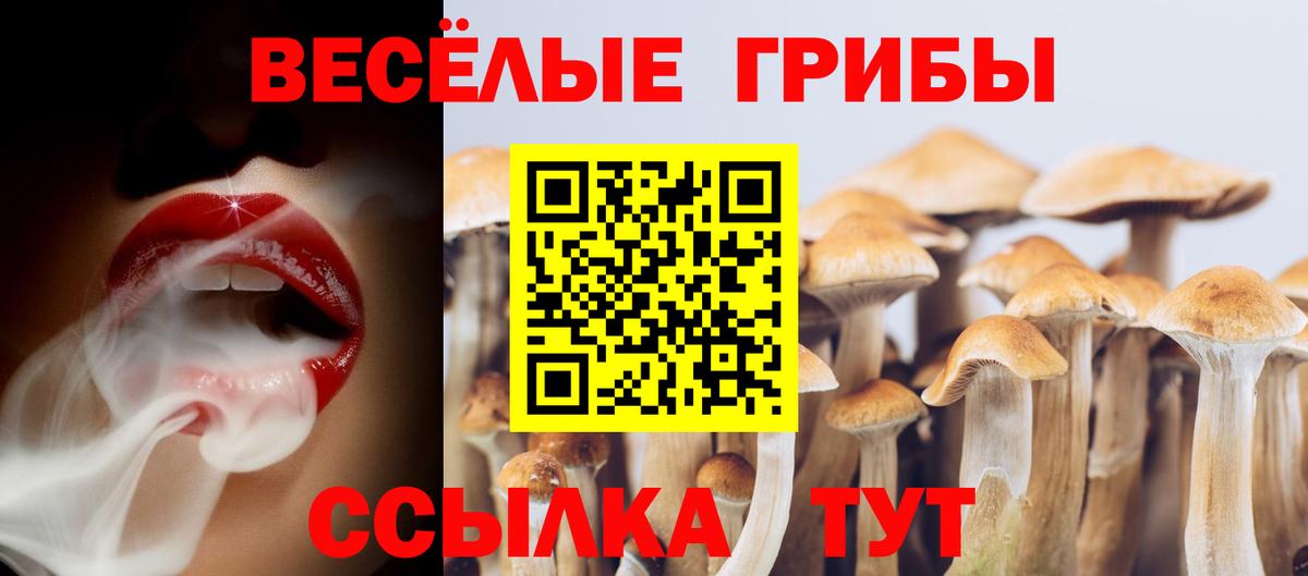 Псилоцибиновые грибы Cubensis Салават
